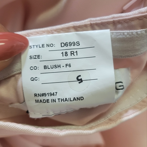 Alfred Sung Full Length,  Dress..Pearl Pink..Size 18W - Picture 2 of 8